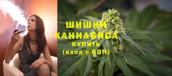 мдпв Ладушкин