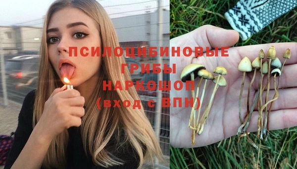 2c-b Лиски