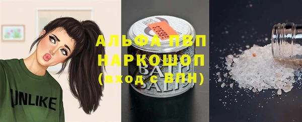 молекула духа Лабытнанги