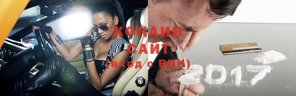 мдпв Ладушкин