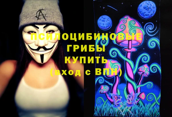 молекула духа Лабытнанги