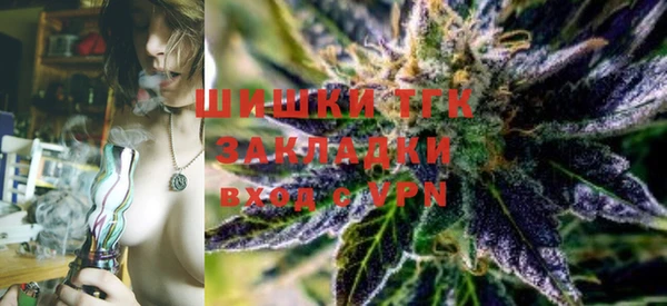мдпв Ладушкин