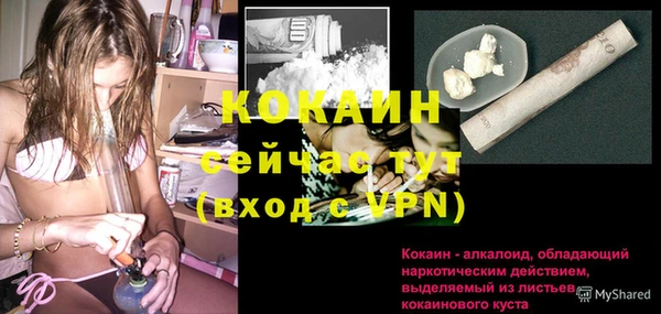 мдпв Ладушкин