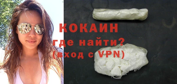 мдпв Ладушкин