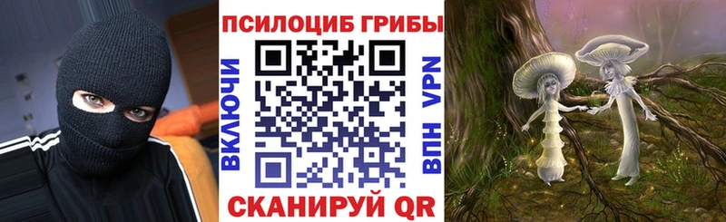Купить  Чапаевск  Псилоцибиновые грибы ЛСД 